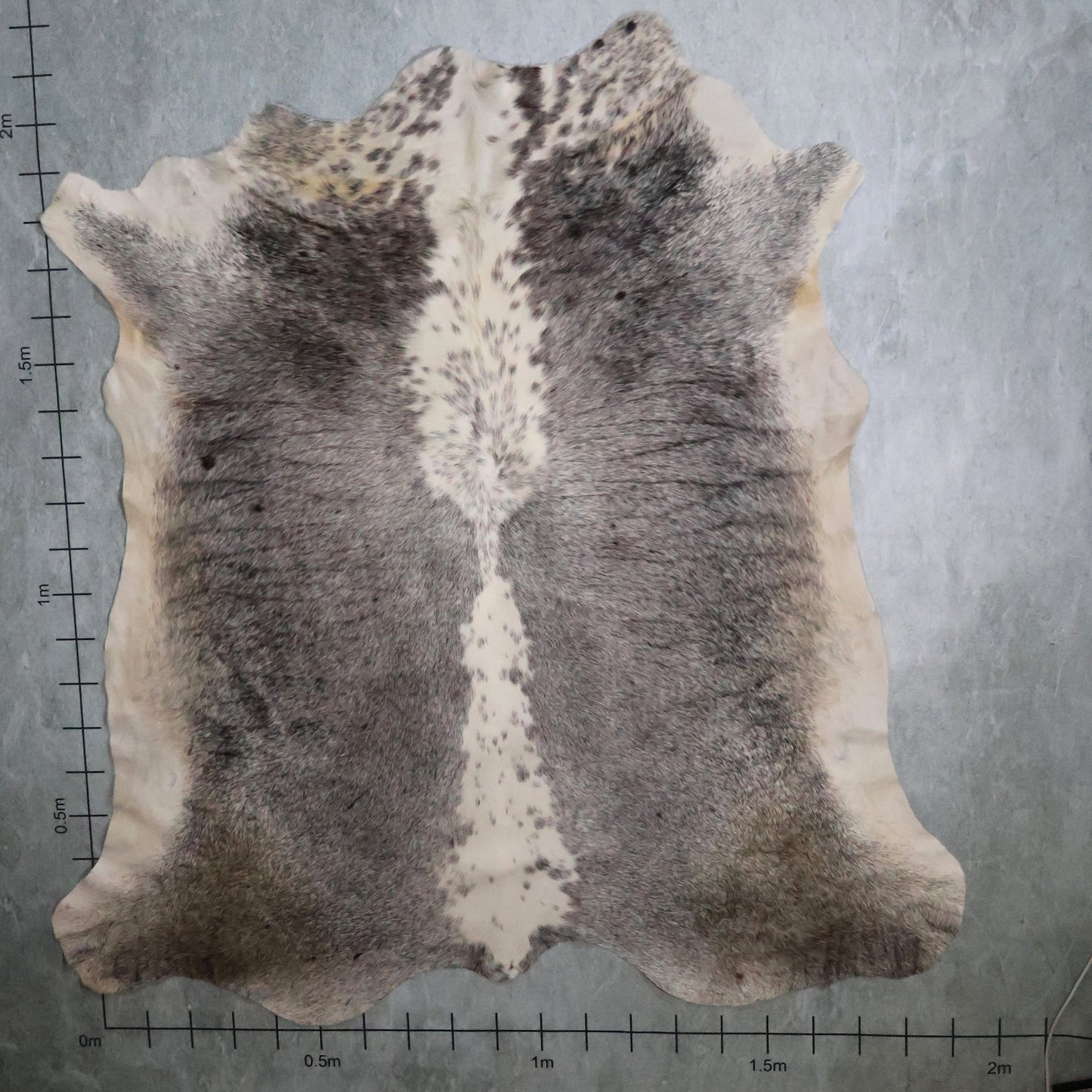 Select Nguni Hide #AGS7256 (1.9m X 2.1m)