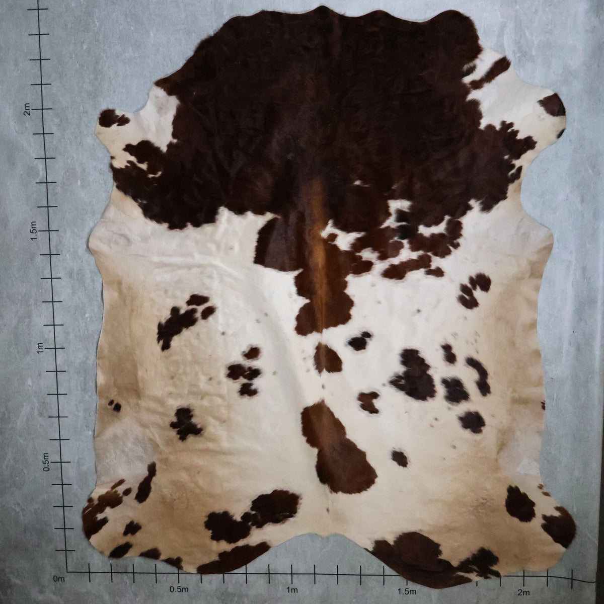 Select Nguni Hide - Dark Brown & White | AGS7257 | 2.2m x 2.3m