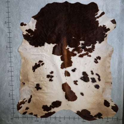 Select Nguni Hide - Dark Brown & White | AGS7257 | 2.2m x 2.3m
