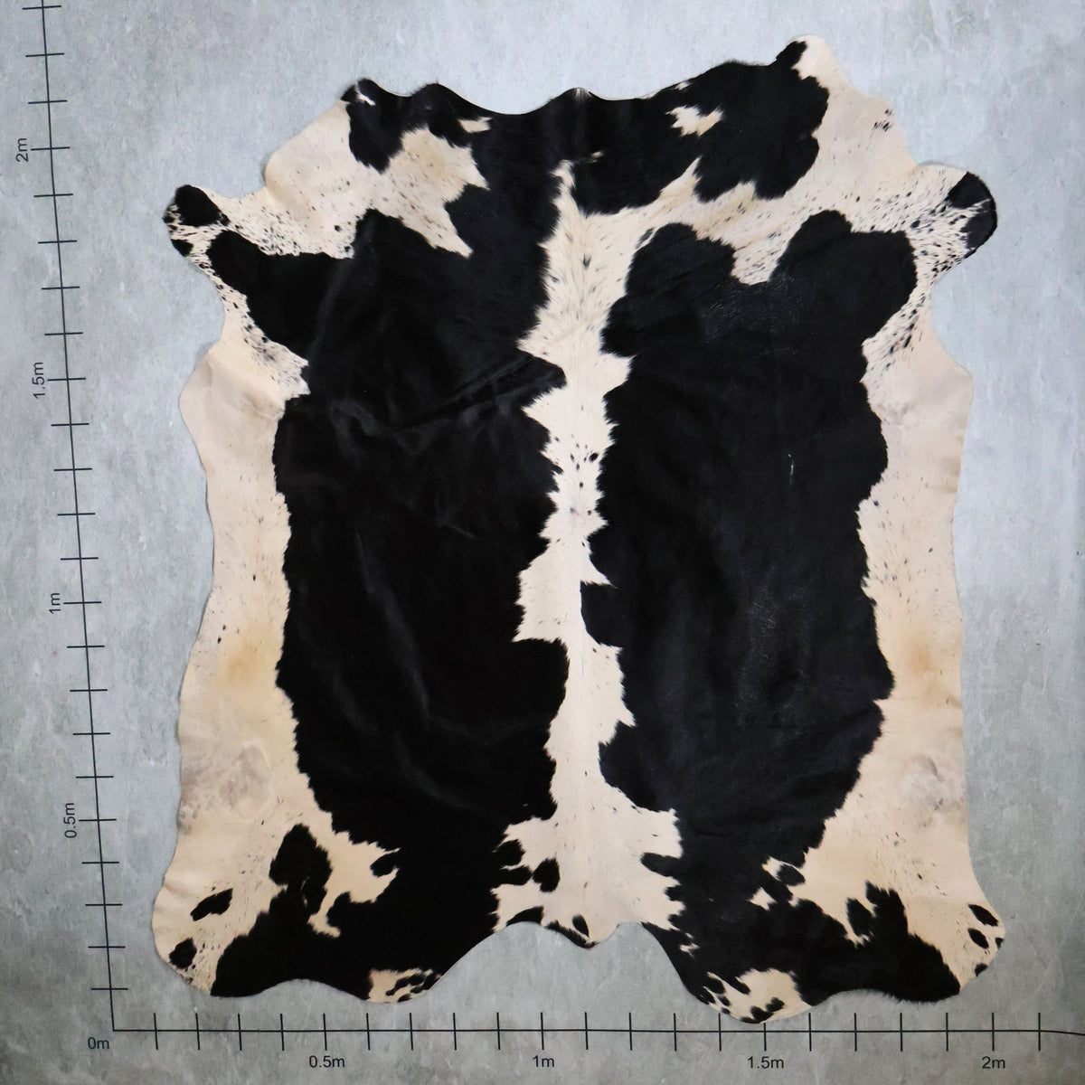 Select Nguni Hide - Black & White | AGS7259 | 2.0m x 2.1m