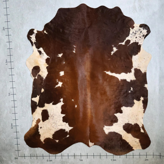 Select Nguni Hide - Chestnut Brown & White | AGS7262 | 2.0m x 2.3m