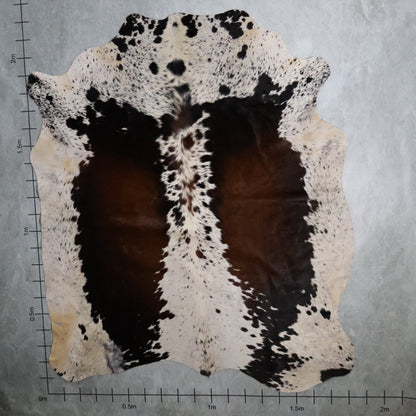 Select Nguni Hide - Dark Chestnut Brown & White | AGS7269 | 1.8m x 2.2m