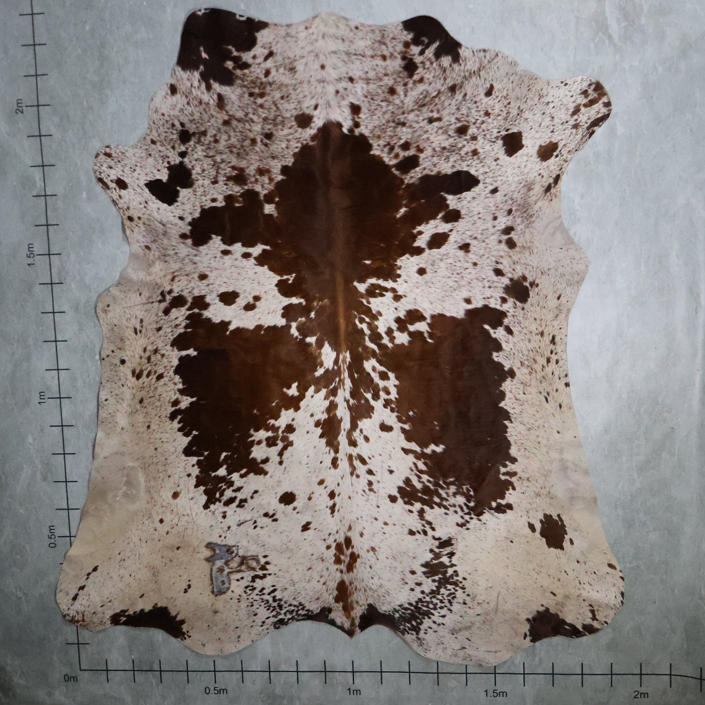 Select Nguni Hide - Caramel Brown & White | AGS7270 | 2.0m x 2.3m