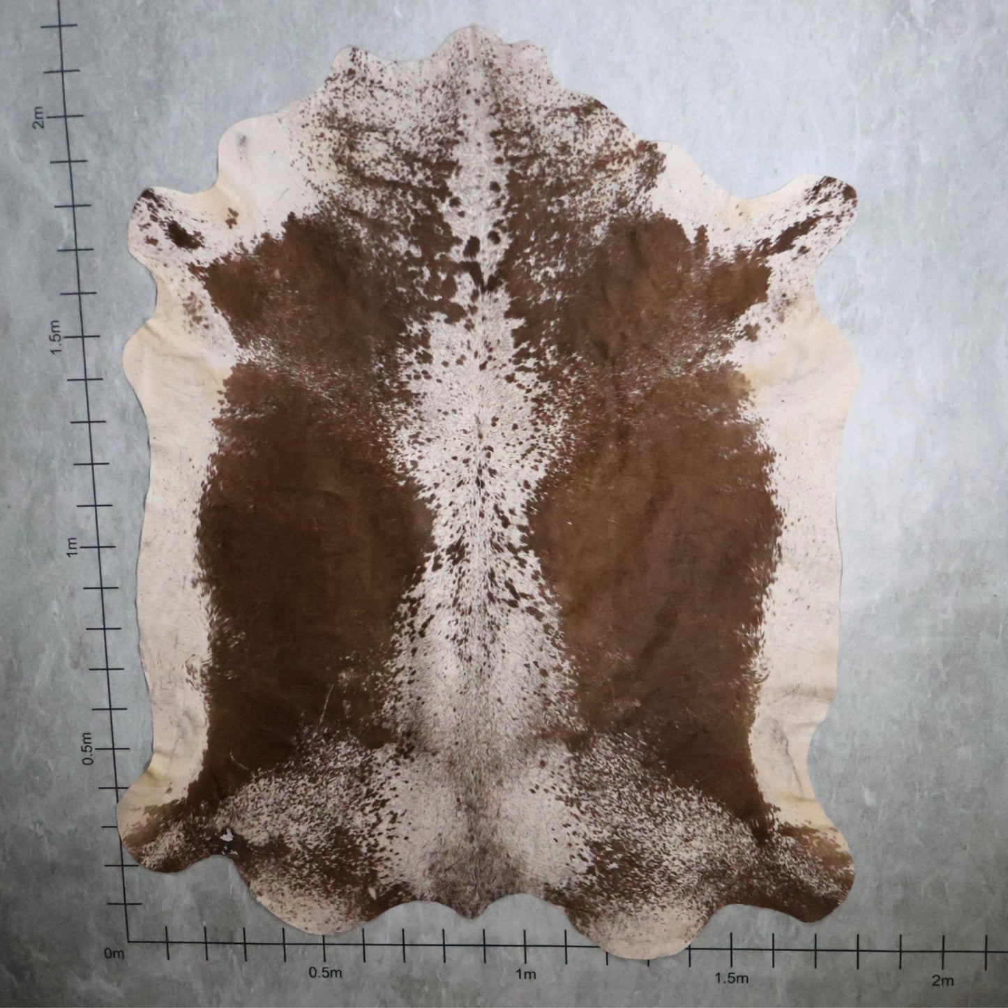 Select Nguni Hide - Brown & White | AGS7275 | 1.8m x 2.1m