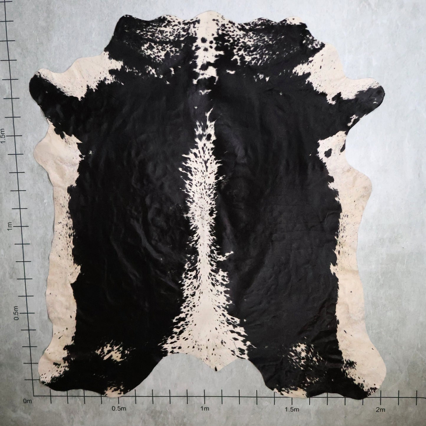 Select Nguni Hide - Black & White | AGS7282 | 2.0m x 2.1m
