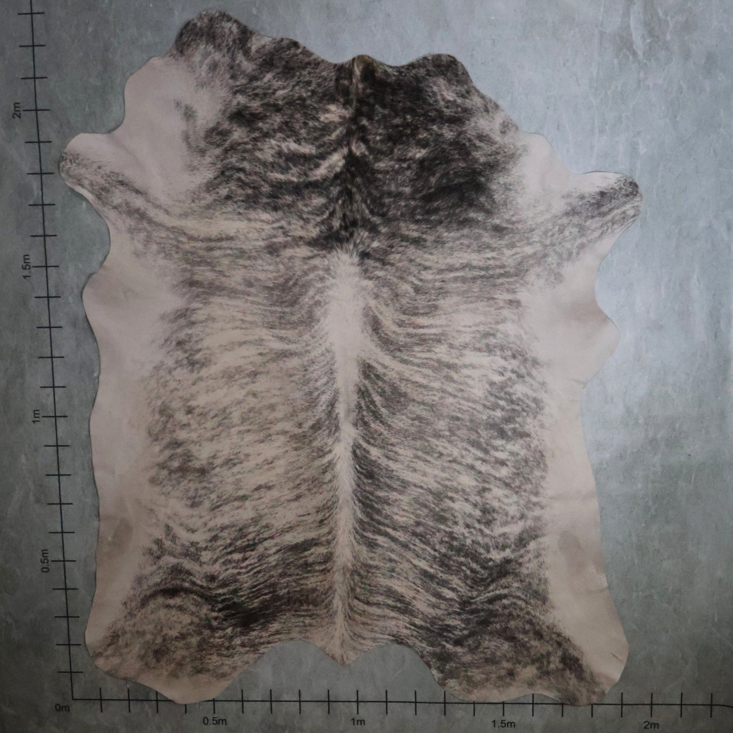 Select Nguni Hide - Brindle Grey/Beige & White | AGS7289 | 1.9m x 2.2m