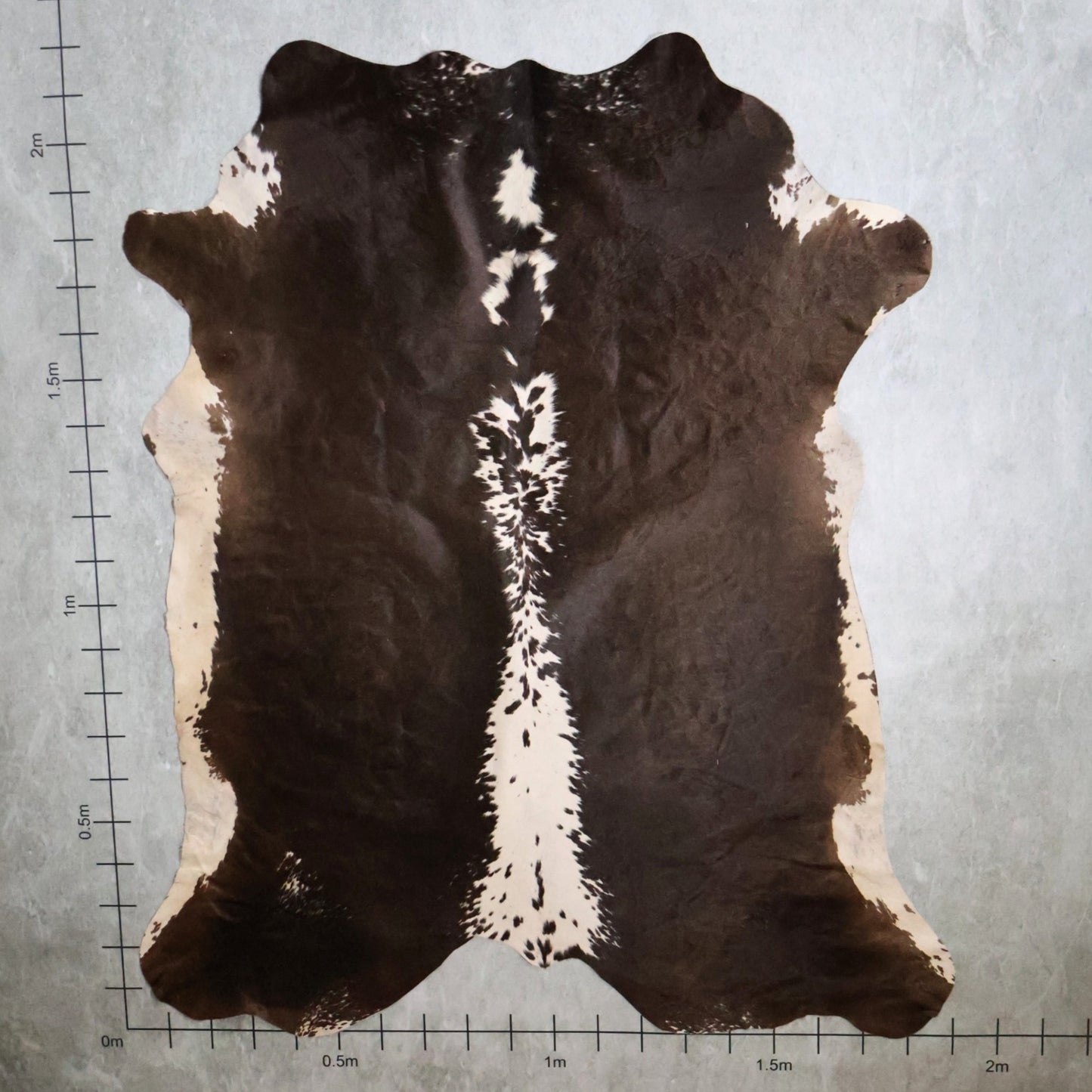 Select Nguni Hide -Dark Chocolate Brown & White | AGS7290 | 1.9m x 2.2m