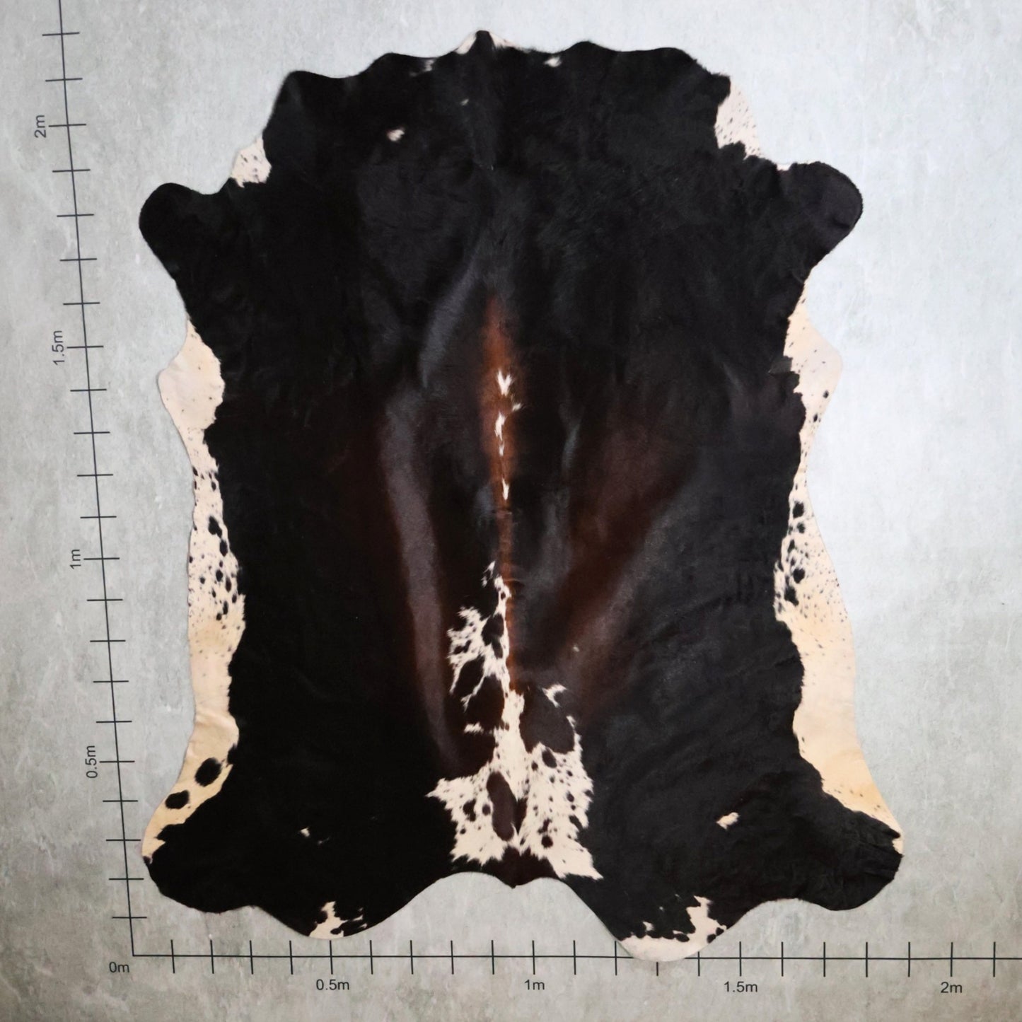 Select Nguni Hide - Tri Colour Chestnut Brown, Black & White | AGS7291 | 1.9m x 2.1m