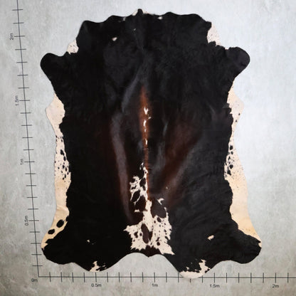 Select Nguni Hide - Tri Colour Chestnut Brown, Black & White | AGS7291 | 1.9m x 2.1m