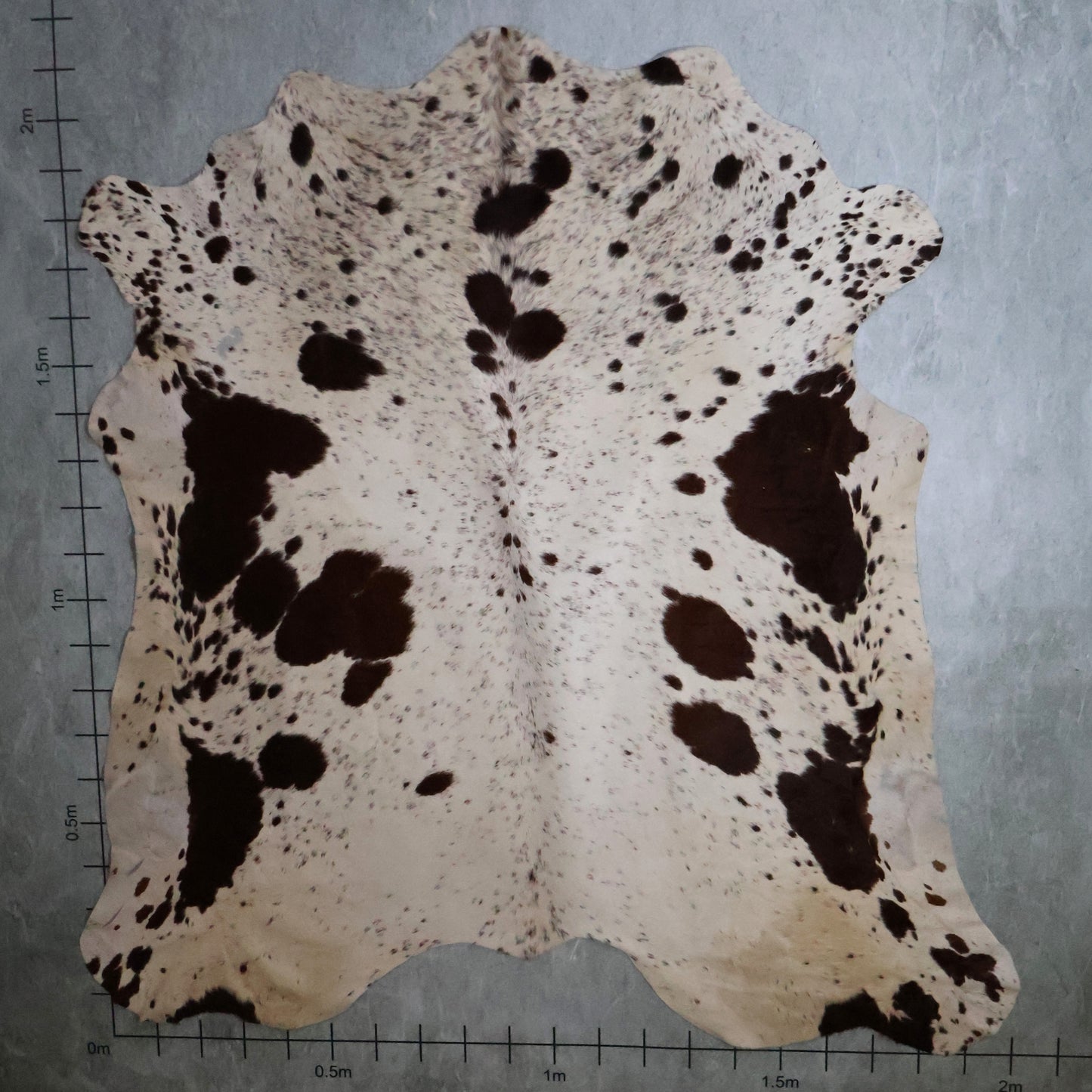 Select Nguni Hide -Chestnut Brown & White | AGS7294 | 2.0m x 2.1m