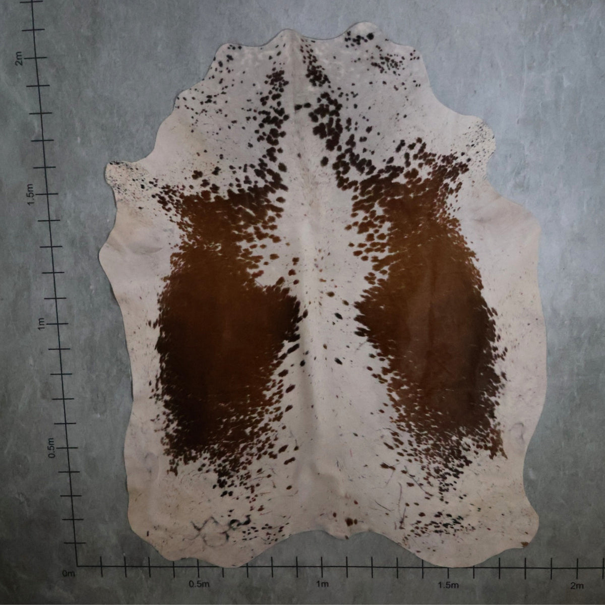 Select Nguni Hide - Chestnut Brown & White | AGS7307 | 1.6m x 2.1m