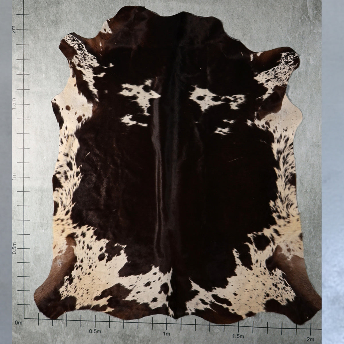 Select Nguni Hide - Dark Brown & White | AGS7325 | 2.1m x 2.1m