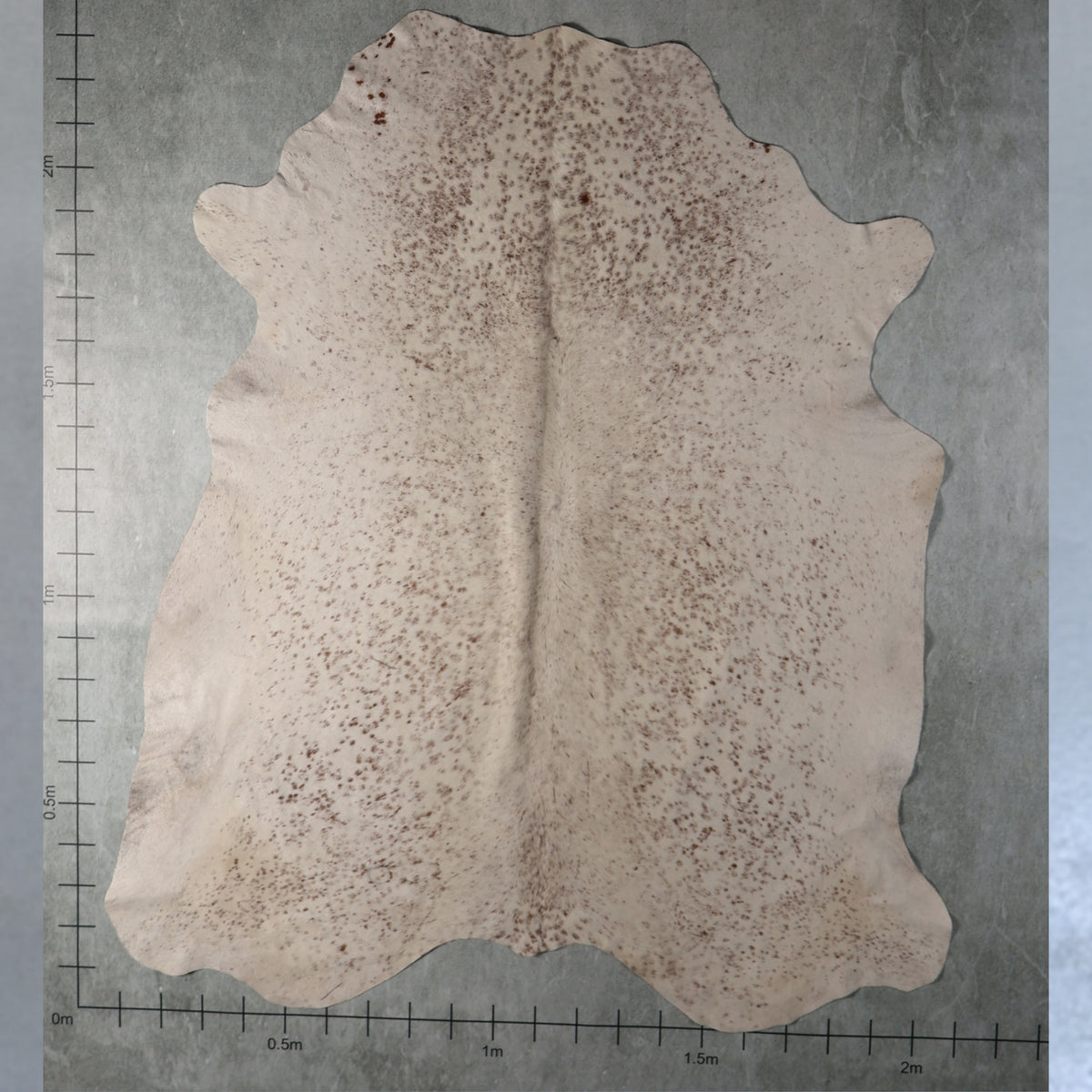 Select Nguni Hide - Cream & Taupe Speckled | AGS7332 | 2.1m x 2.3m