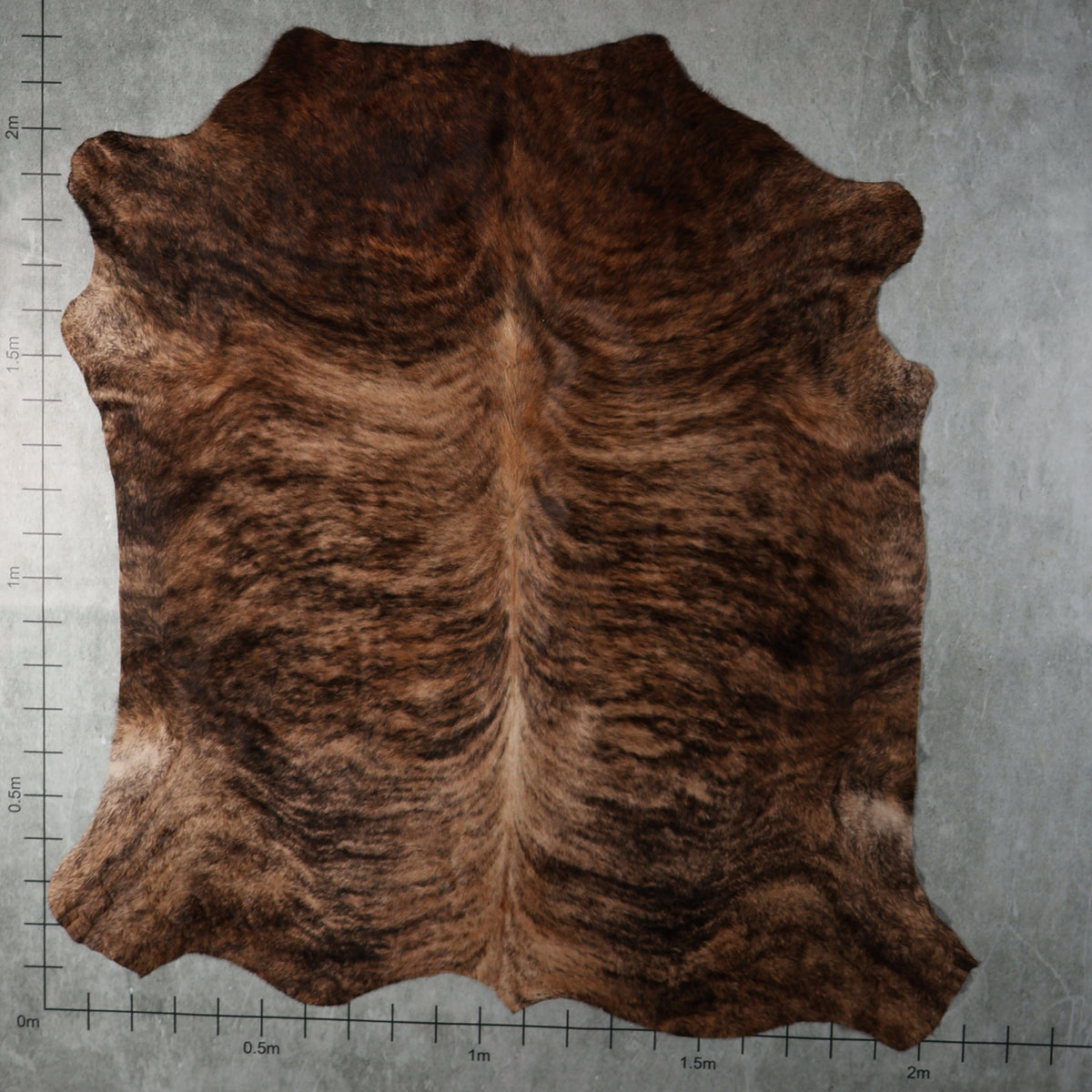 Select Nguni Hide - Brindle Brown | AGS7334 | 2.1m x 2.2m