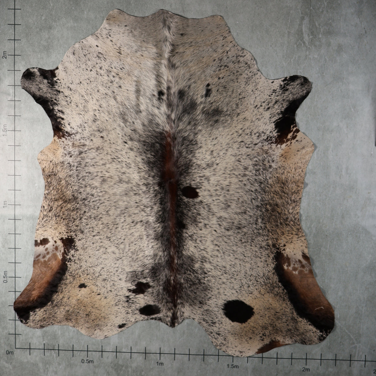 Select Nguni Hide - Grey & Cream Speckled | AGS7339 | 2.2m x 2.3m