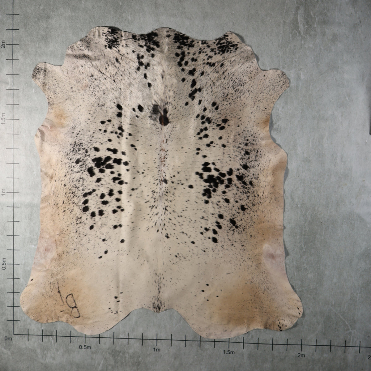 Select Nguni Hide - Cream & Black Speckled | AGS7342 | 2.0m x 2.1m