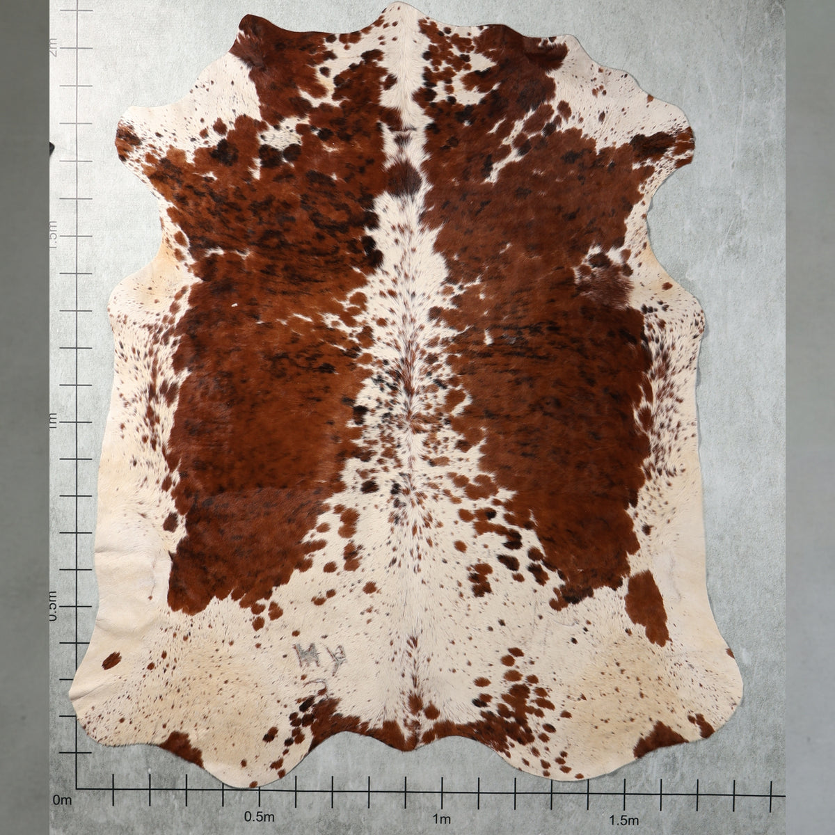 Select Nguni Hide - Tri Colour Chestnut Brown & White | AGS7352 | 1.8m x 2.1m