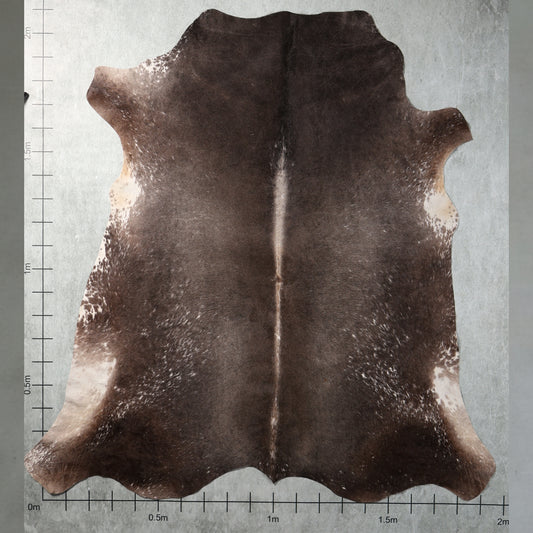 Select Nguni Hide - Chocolate Brown | AGS7354 | 2.0m x 2.1m