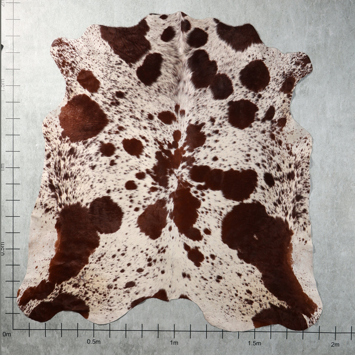 Select Nguni Hide - Chestnut Brown & White | AGS7355 | 1.9m x 1.9m