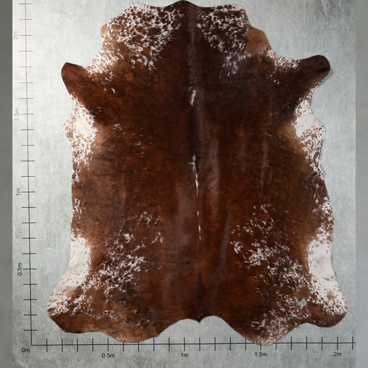 Select Nguni Hide - Chestnut Brown & White | AGS7356 | 2.1m x 2.2m