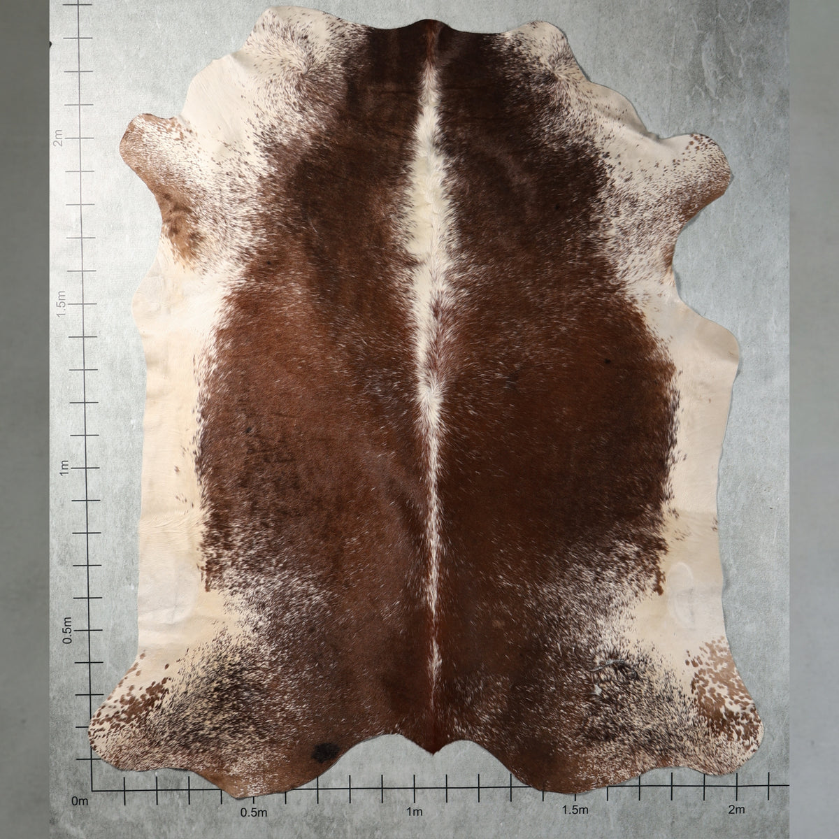 Select Nguni Hide - Chestnut Brown & White | AGS7360 | 2.1m x 2.4m