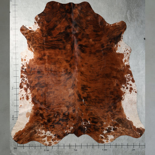 Select Nguni Hide - Chestnut Brown & White | AGS7363 | 2.2m x 2.4m