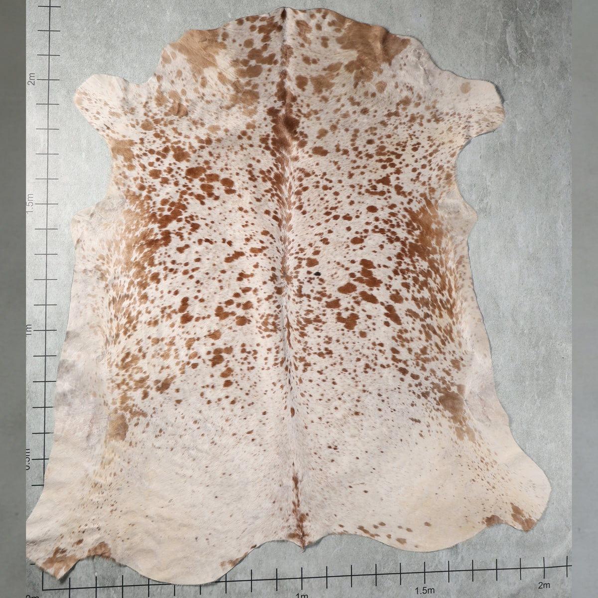 Select Nguni Hide - Beige & Brown Speckled | AGS7372 | 2.0m x 2.3m