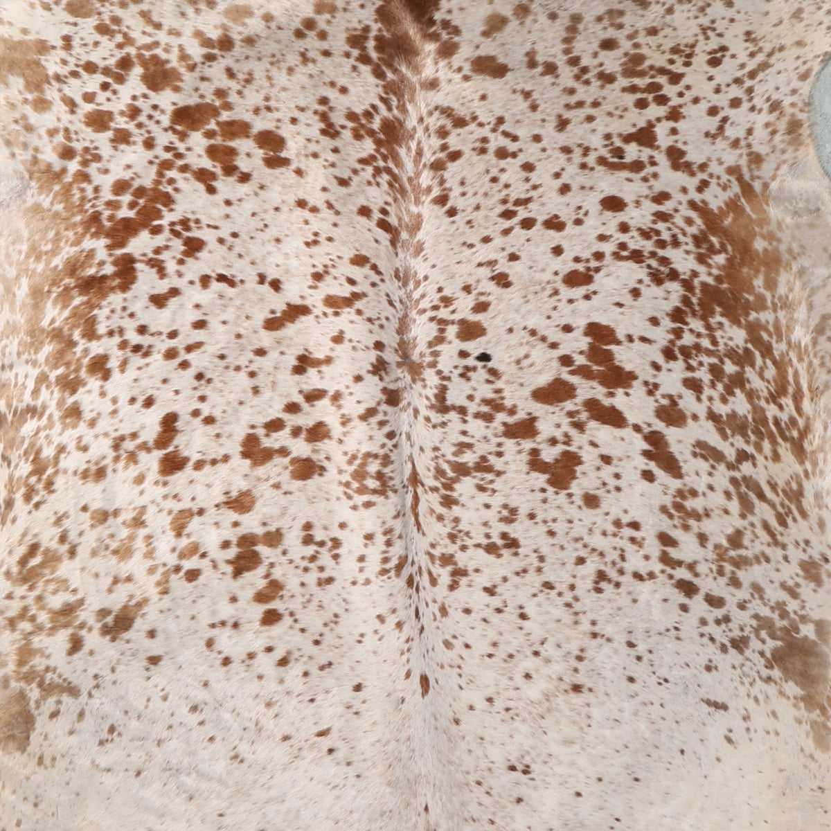 Select Nguni Hide - Beige & Brown Speckled | AGS7372 | 2.0m x 2.3m