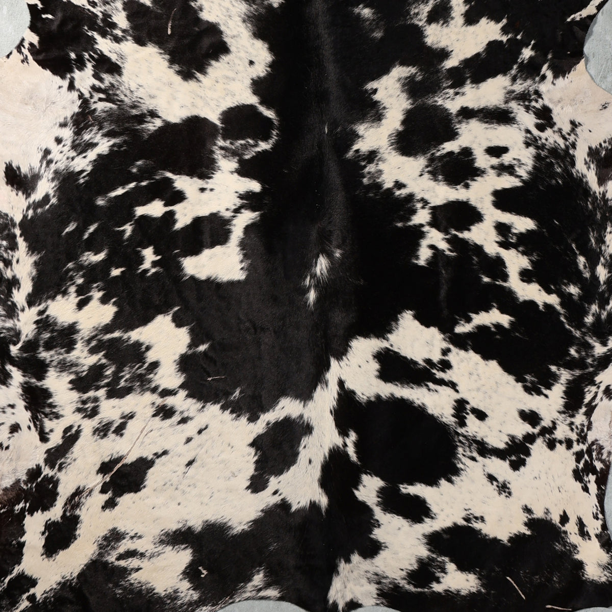 Select Nguni Hide - Black & White | AGS7375 | 1.8m x 2.2m