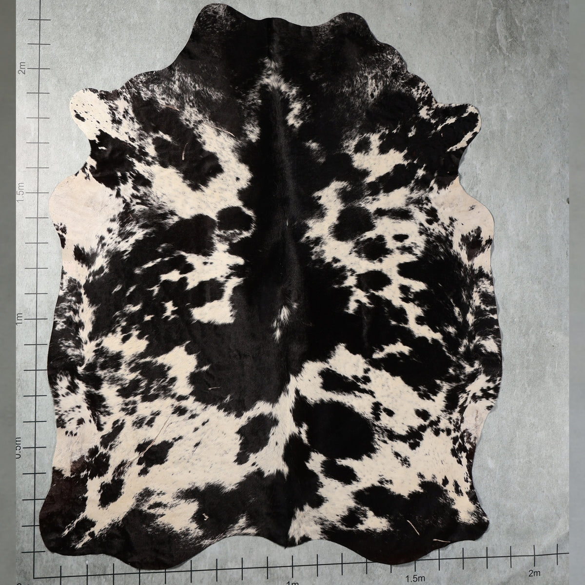 Select Nguni Hide - Black & White | AGS7375 | 1.8m x 2.2m