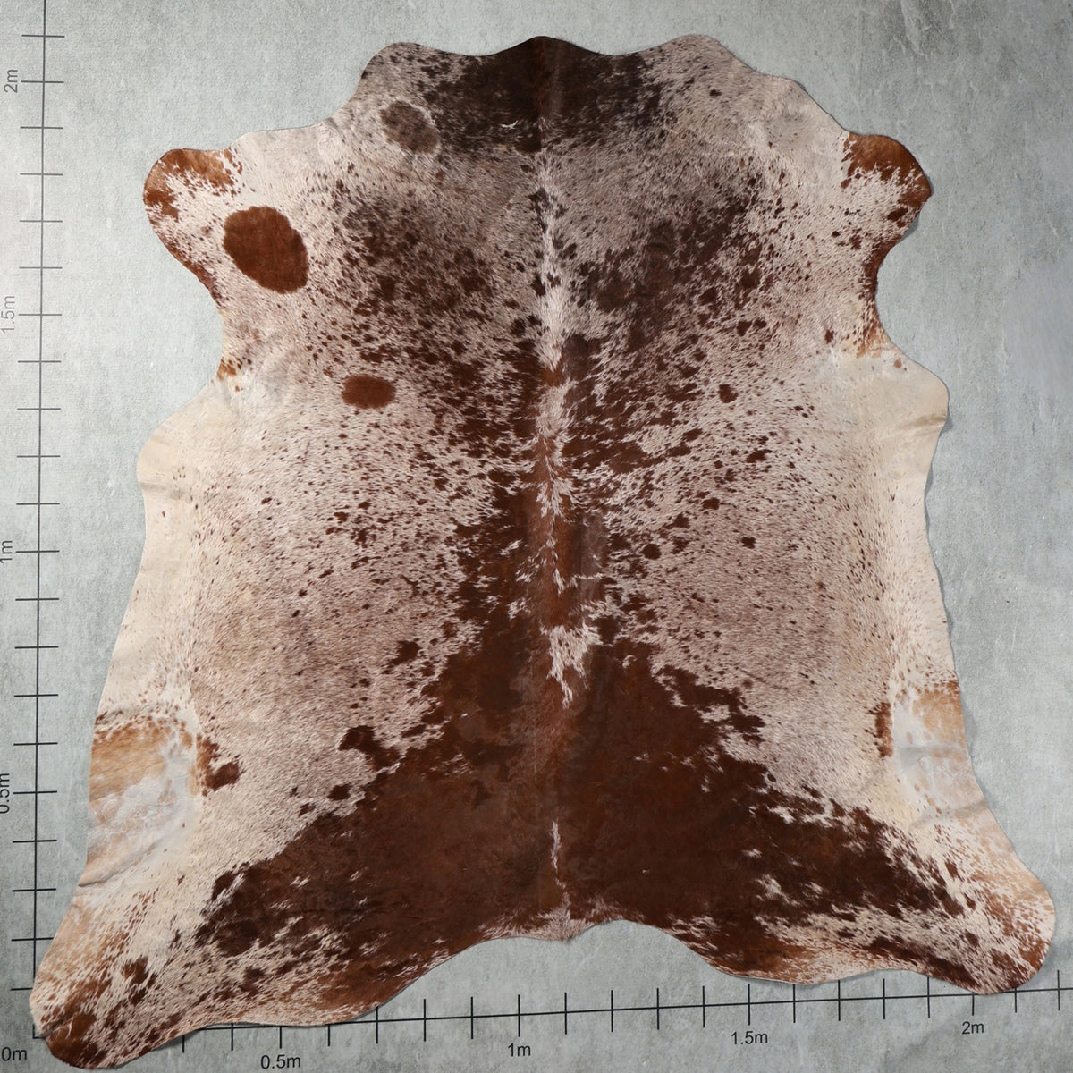 Select Nguni Hide - Dark Brown, Chestnut & White | AGS7379 | 2.2m x 2.1m