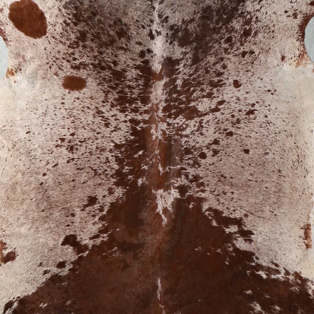 Select Nguni Hide - Dark Brown, Chestnut & White | AGS7379 | 2.2m x 2.1m