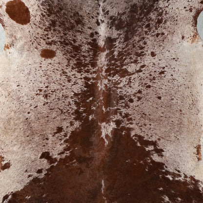 Select Nguni Hide - Dark Brown, Chestnut & White | AGS7379 | 2.2m x 2.1m