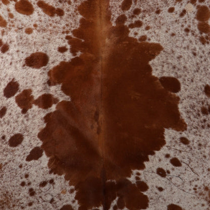 Select Nguni Hide - Chestnut Brown & White Speckled | AGS7430 | 2.0m x 2.1m