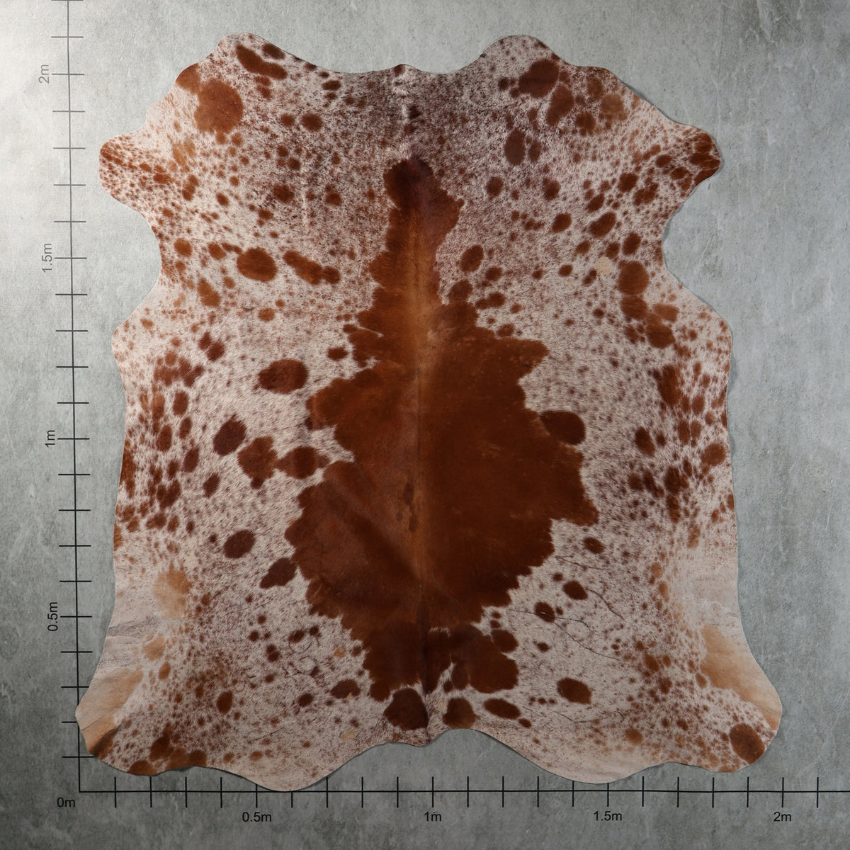 Select Nguni Hide - Chestnut Brown & White Speckled | AGS7430 | 2.0m x 2.1m
