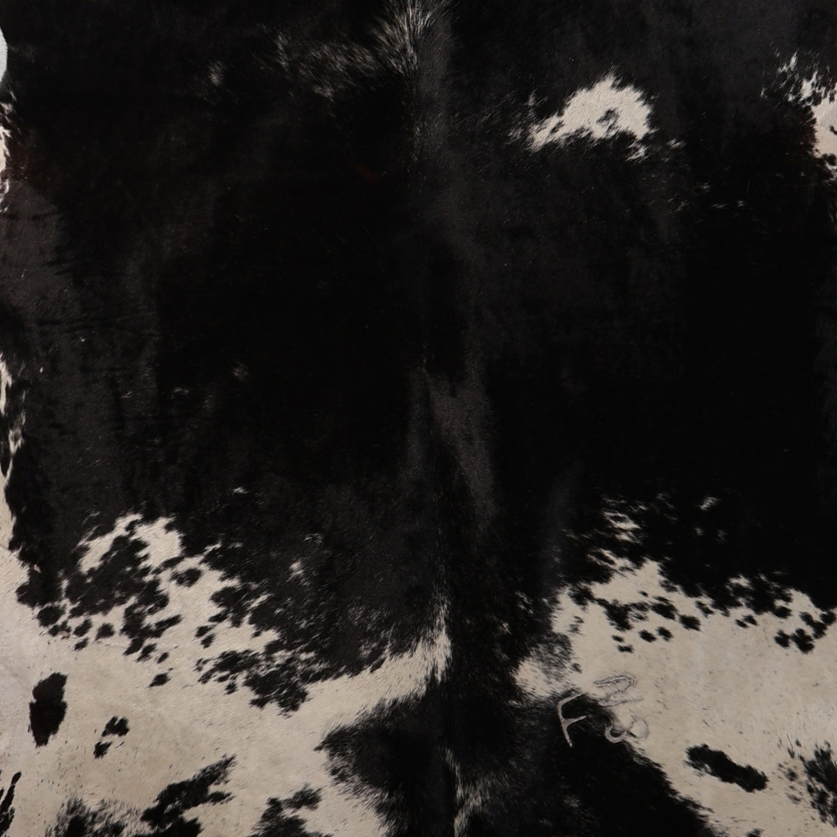Select Nguni Hide - Black with White Patches | AGS7434 | 1.8m x 2.1m