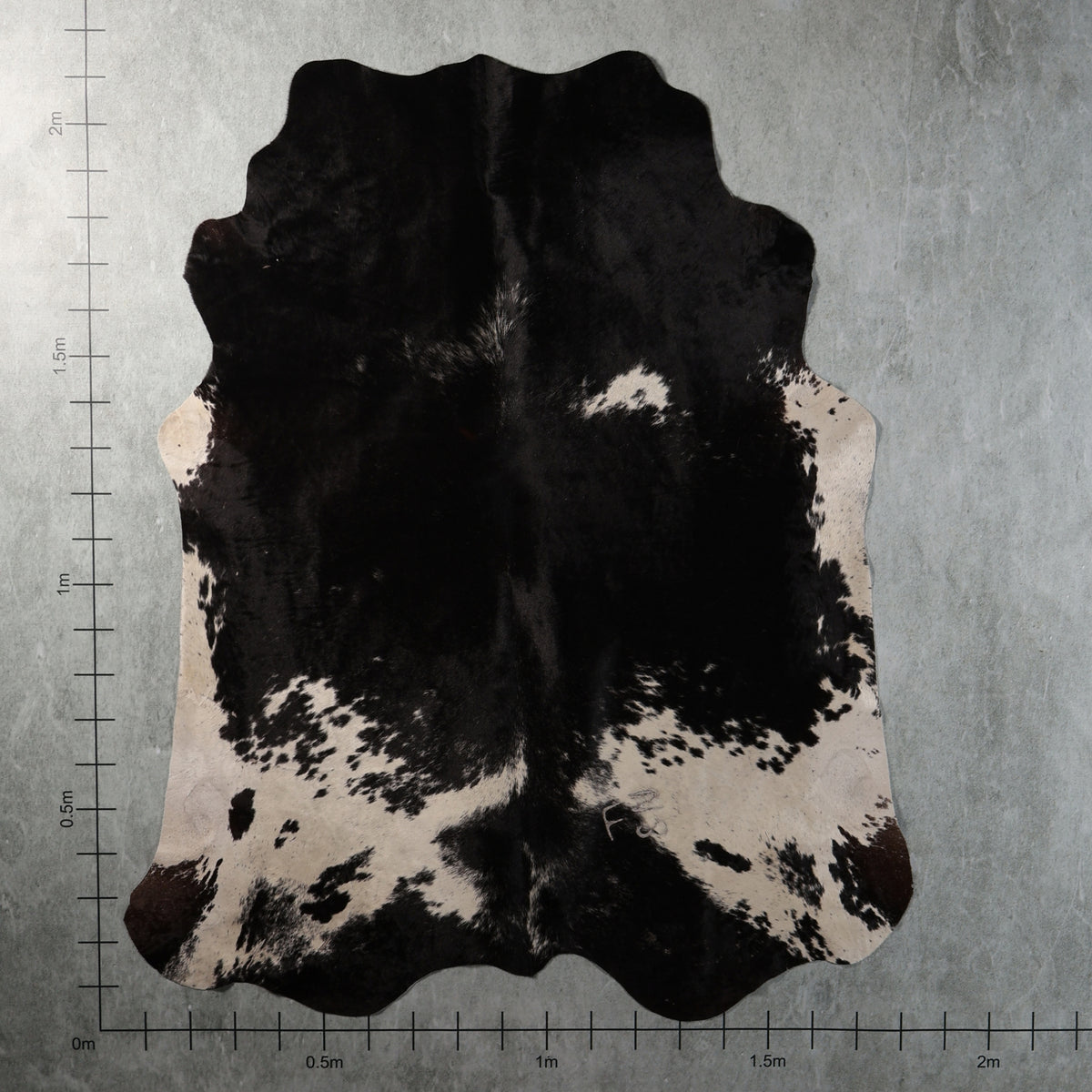 Select Nguni Hide - Black with White Patches | AGS7434 | 1.8m x 2.1m