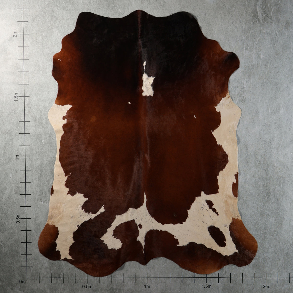 Select Nguni Hide - Chestnut & White | AGS7444 | 1.9m x 2.2m