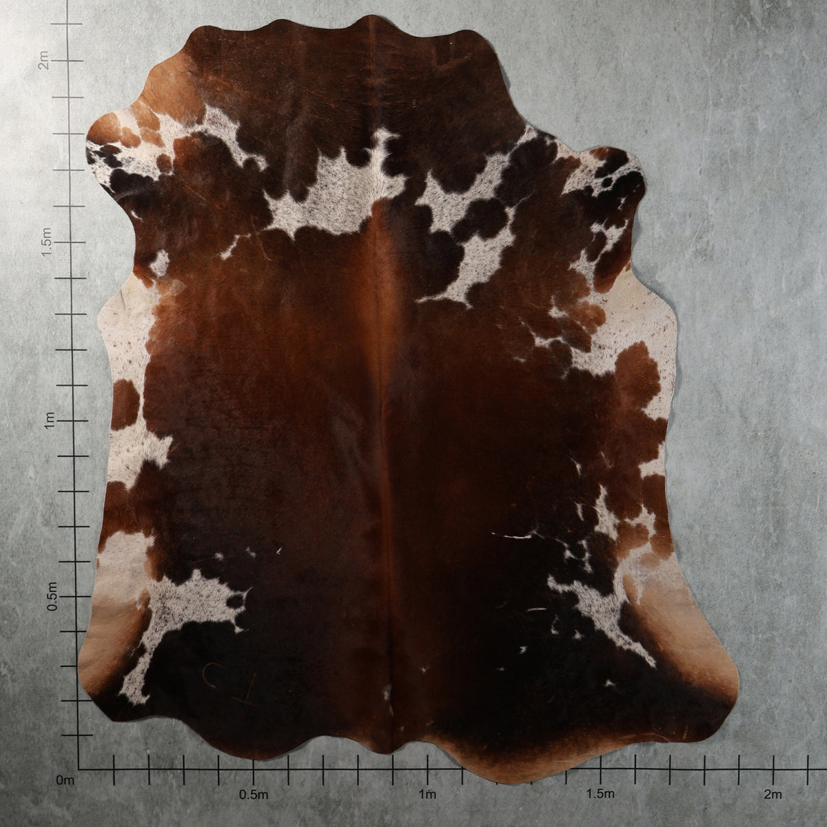 Select Nguni Hide - Reddish Brown & White | AGS7445 | 1.9m x 2.1m