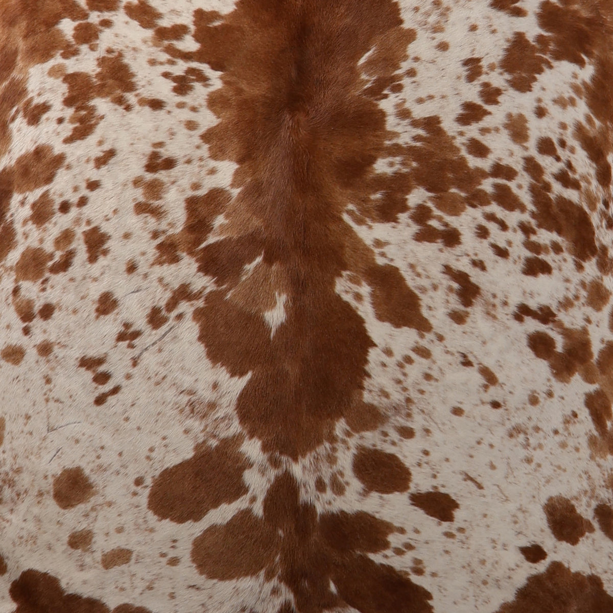 Select Nguni Hide - Chestnut Brown & White Spotted | AGS7447 | 1.7m x 2.1m