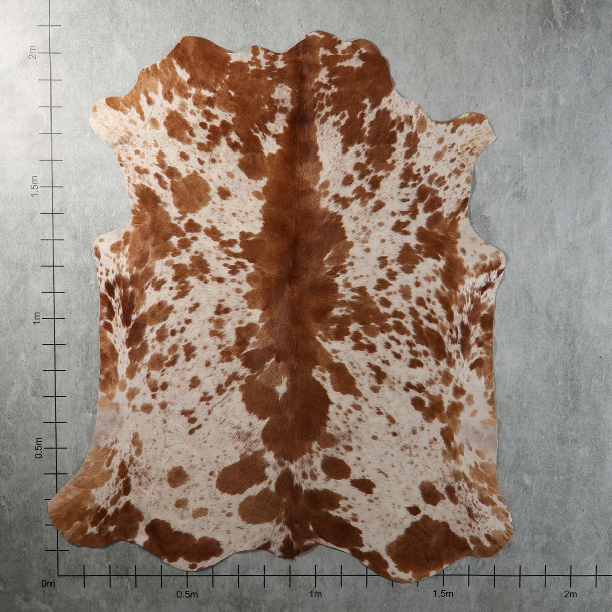 Select Nguni Hide - Chestnut Brown & White Spotted | AGS7447 | 1.7m x 2.1m