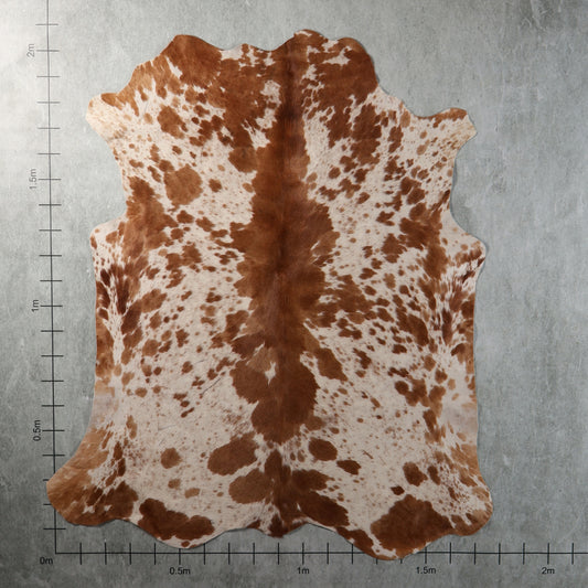 Select Nguni Hide - Chestnut Brown & White Spotted | AGS7447 | 1.7m x 2.1m