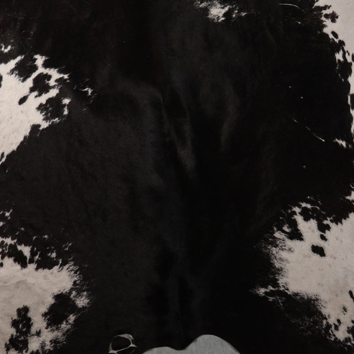 Select Nguni Hide - Black & White | AGS7452 | 1.9m x 2.1m