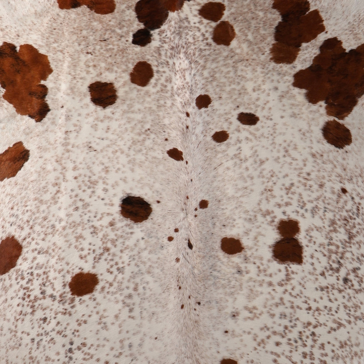 Select Nguni Hide - Reddish Brown & Cream Spotted | AGS7459 | 2.2m x 2.4m