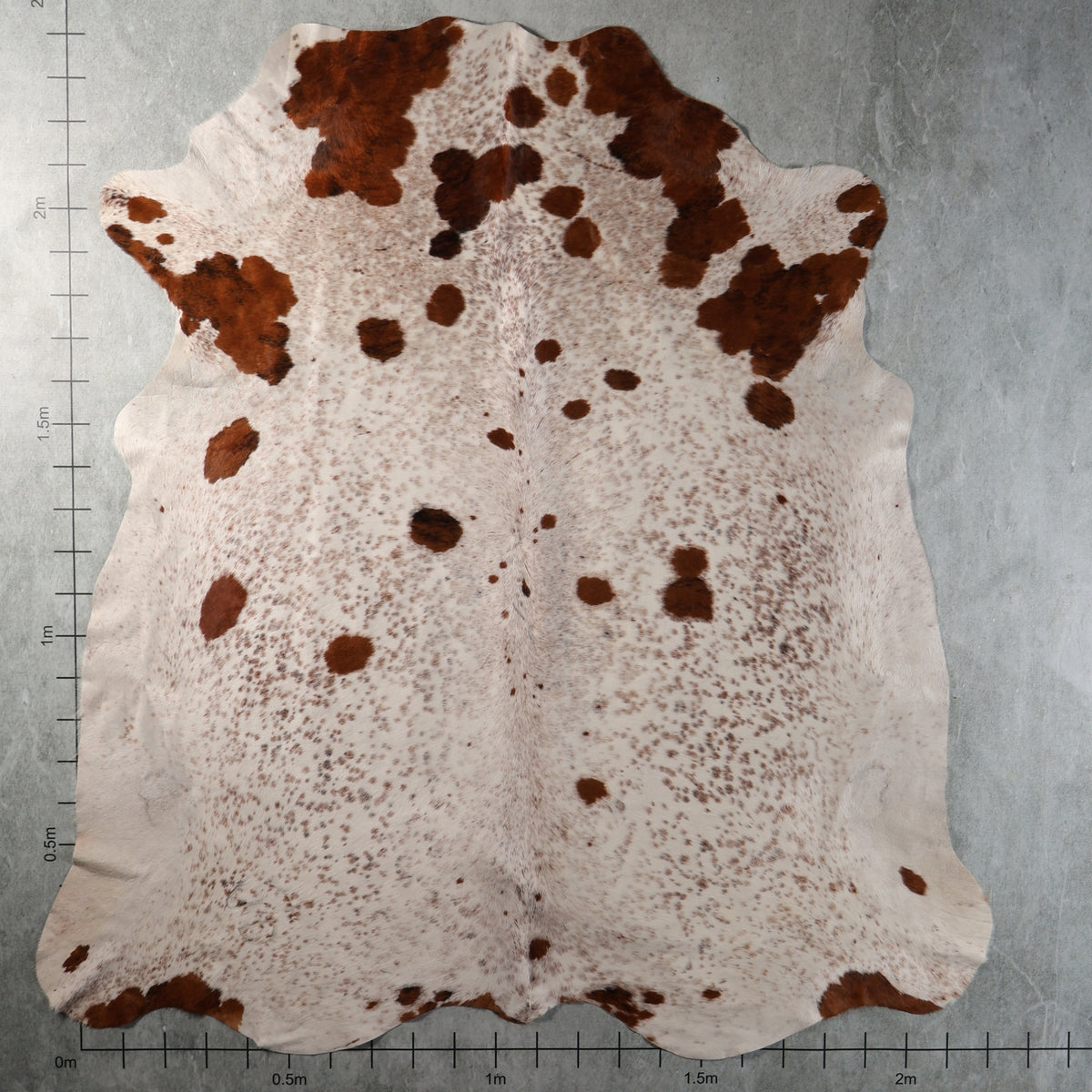 Select Nguni Hide - Reddish Brown & Cream Spotted | AGS7459 | 2.2m x 2.4m