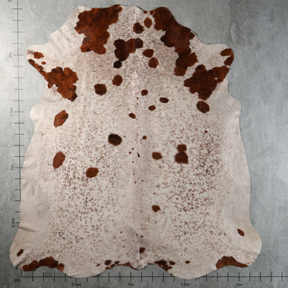 Select Nguni Hide - Reddish Brown & Cream Spotted | AGS7459 | 2.2m x 2.4m