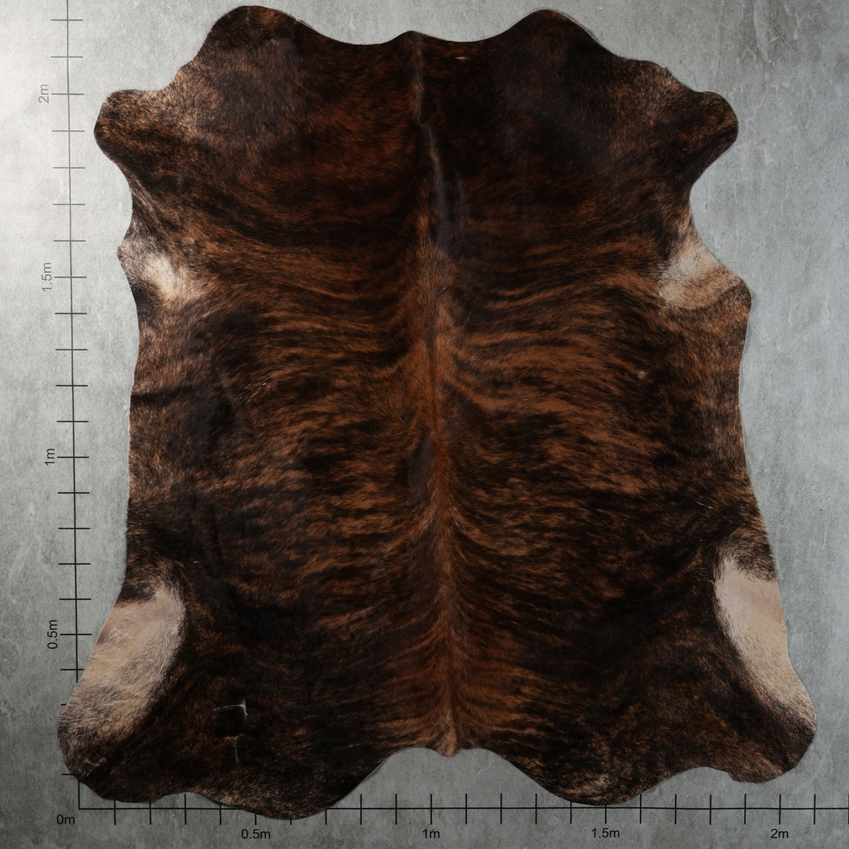 Select Nguni Hide - Dark Chocolate & Chestnut Brindle | AGS7462 | 2.1m x 2.2m