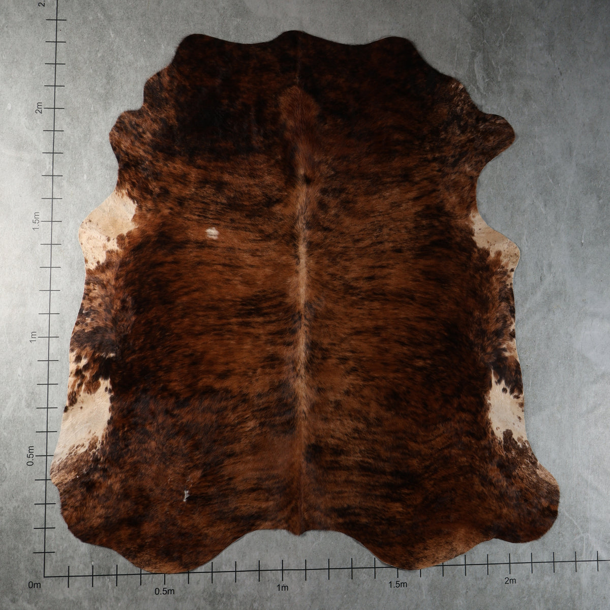 Select Nguni Cowhide - Rich Brown Brindle | AGS7467 | 2.2m x 2.3m