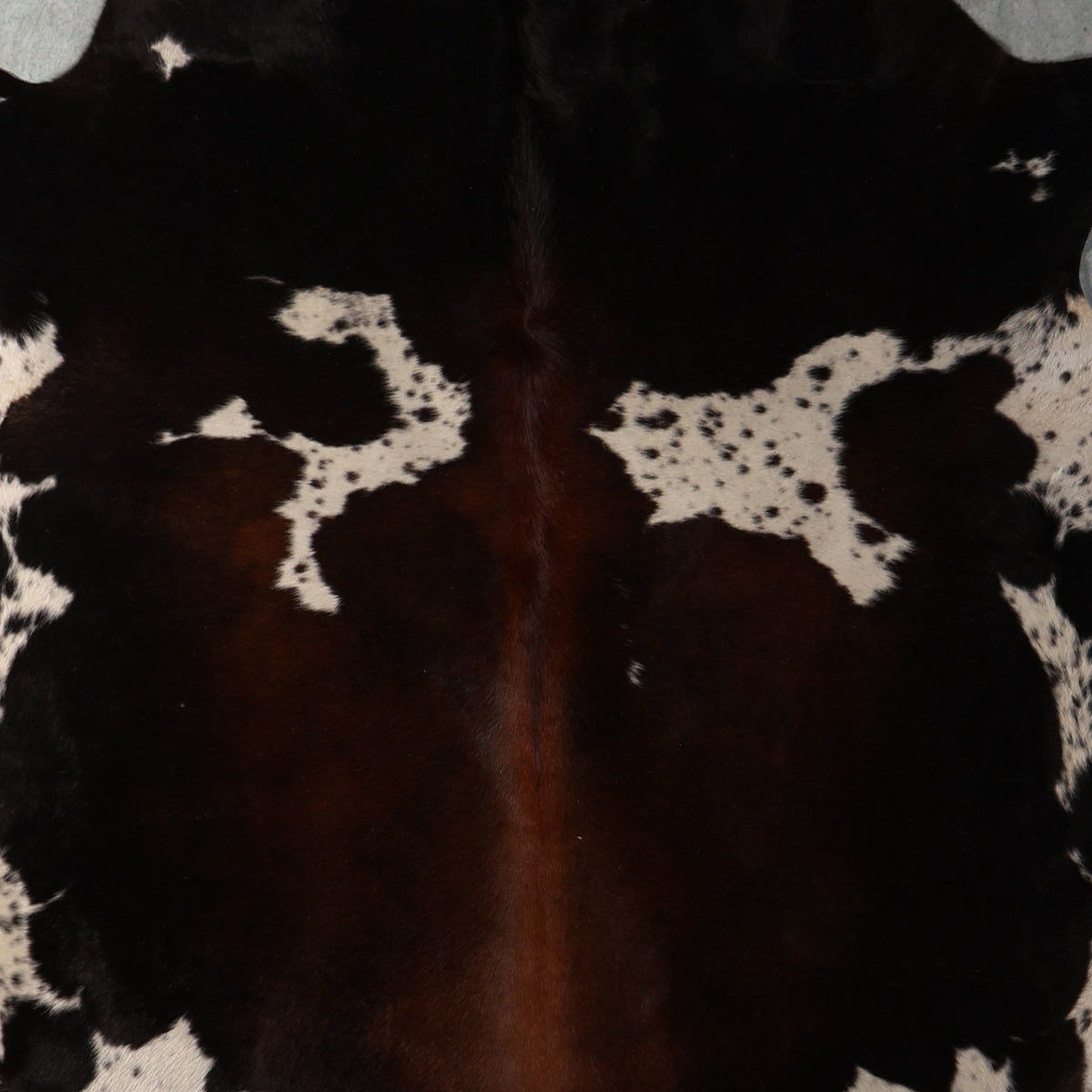 Select Nguni Cowhide - Tri Colour Black, Brown & White Speckled | AGS7470 | 1.7m x 2.2m