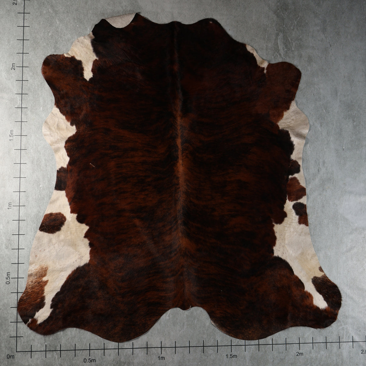 Select Nguni Cowhide - Dark Brown Brindle & Cream | AGS7475 | 2.3m x 2.4m
